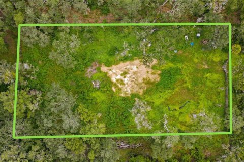 Terreno en venta en Spring Hill, Florida № 1917065 - foto 10