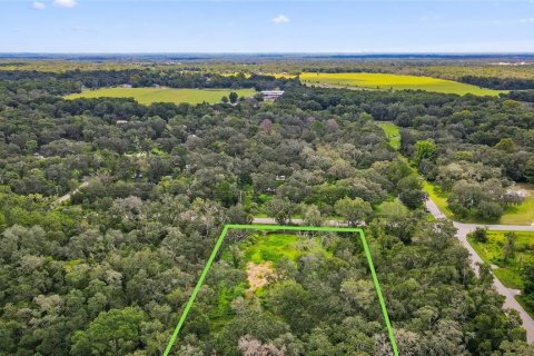 Terreno en venta en Spring Hill, Florida № 1917065 - foto 5