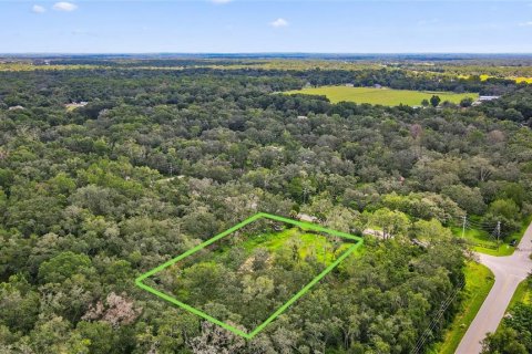 Terreno en venta en Spring Hill, Florida № 1917065 - foto 4