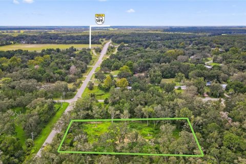 Terreno en venta en Spring Hill, Florida № 1917065 - foto 6