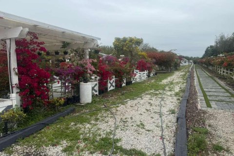 Propiedad comercial en venta en Southwest Ranches, Florida № 2158293 - foto 11