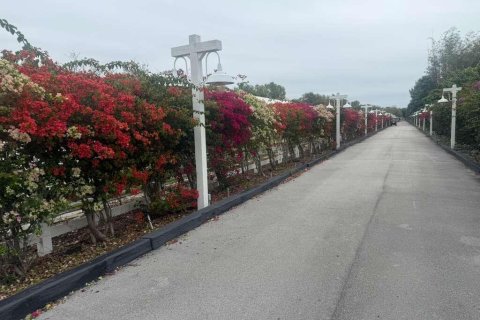 Propiedad comercial en venta en Southwest Ranches, Florida № 2158293 - foto 13