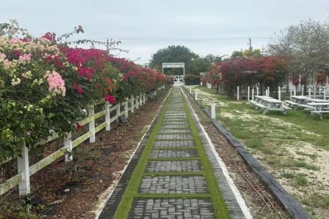 Propiedad comercial en venta en Southwest Ranches, Florida № 2158293 - foto 4