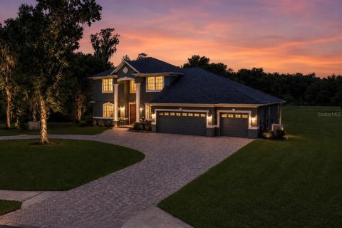 Casa en Fish Hawk, Florida 4 dormitorios, 274.62 m2 № 2095750