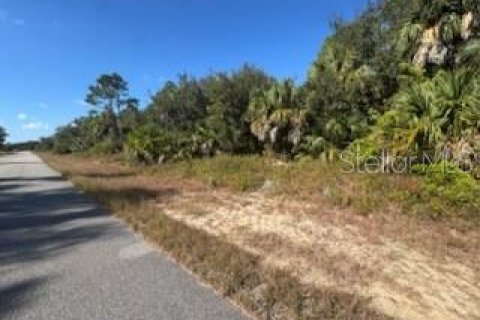 Land in North Port, Florida № 2165409 - photo 5