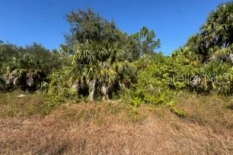 Land in North Port, Florida № 2165409 - photo 4