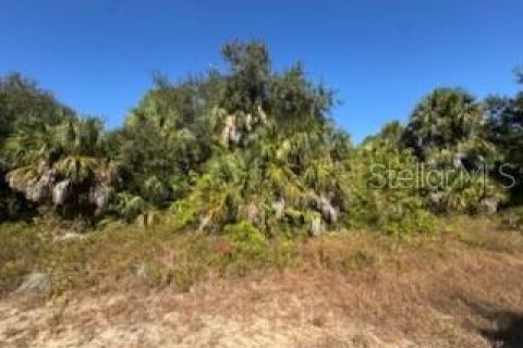 Land in North Port, Florida № 2165409