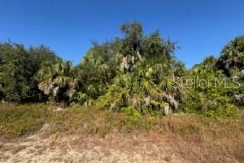 Land in North Port, Florida № 2165409 - photo 3