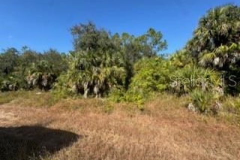 Land in North Port, Florida № 2165409 - photo 2