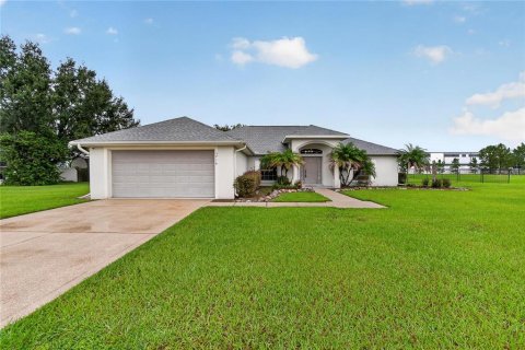 Villa ou maison à Plant City, Floride 3 chambres, 191.01 m2 № 2416635