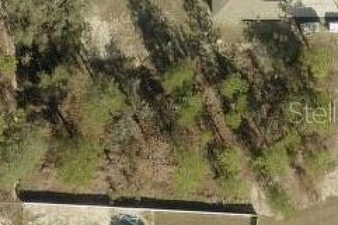 Land in Weeki Wachee, Florida № 2161956 - photo 2