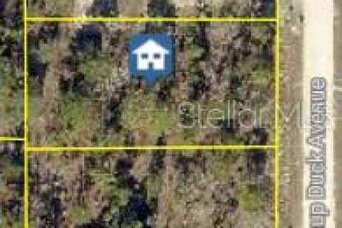 Land in Weeki Wachee, Florida № 2161956