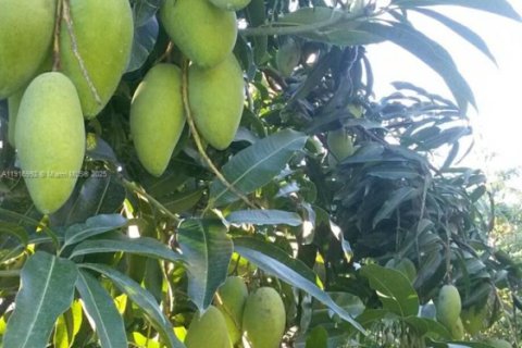 Купить коммерческую недвижимость в Хомстед, Флорида № 1973146 - фото 12