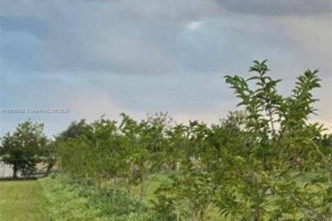 Купить коммерческую недвижимость в Хомстед, Флорида № 1973146 - фото 10