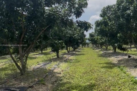 Купить коммерческую недвижимость в Хомстед, Флорида № 1973146 - фото 5