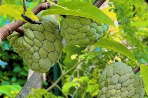 Купить коммерческую недвижимость в Хомстед, Флорида № 1973146 - фото 15