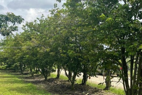 Купить коммерческую недвижимость в Хомстед, Флорида № 1973146 - фото 8