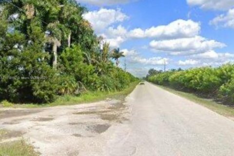 Купить коммерческую недвижимость в Хомстед, Флорида № 1973146 - фото 3