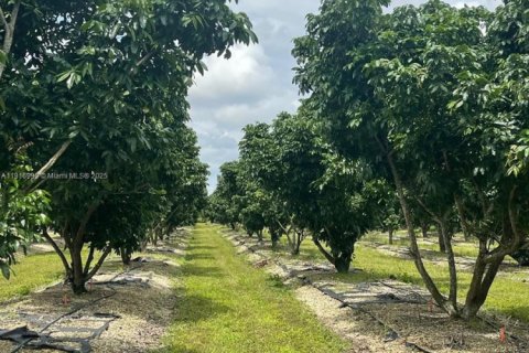 Купить коммерческую недвижимость в Хомстед, Флорида № 1973146 - фото 7