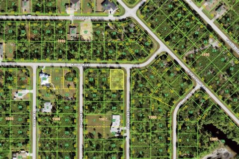 Land in Port Charlotte, Florida № 2380466 - photo 3