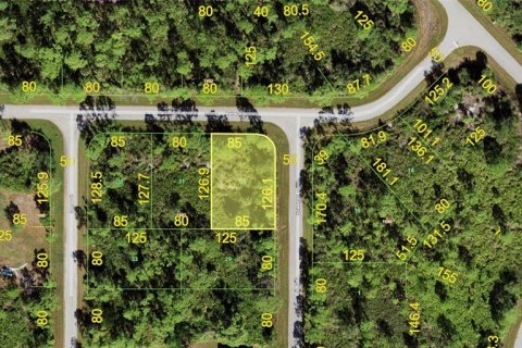 Land in Port Charlotte, Florida № 2380466 - photo 2