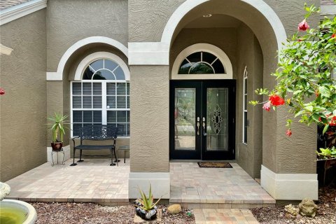 House in Palm Harbor, Florida 5 bedrooms, 315.59 sq.m. № 1757876 - photo 4