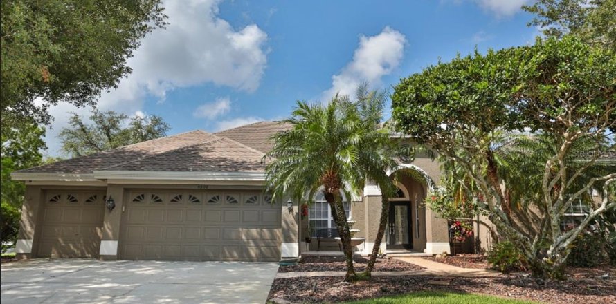 House in Palm Harbor, Florida 5 bedrooms, 315.59 sq.m. № 1757876