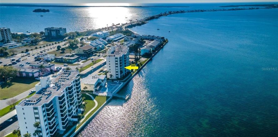 Condo à Dunedin, Floride, 2 chambres № 2431736