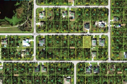 Land in Port Charlotte, Florida № 2164164