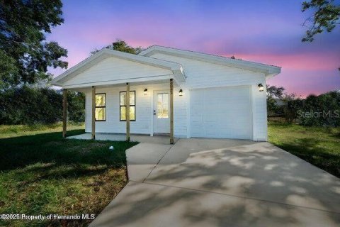 Villa ou maison à Weeki Wachee, Floride 3 chambres, 93.65 m2 № 2210626