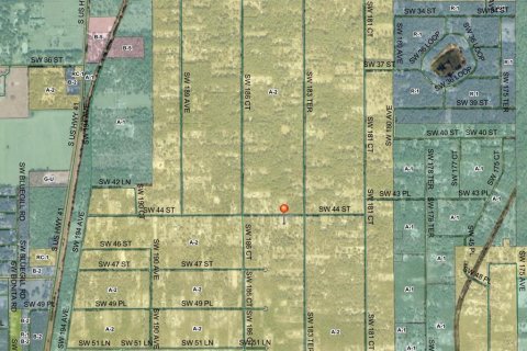 Land in Dunnellon, Florida № 1911227 - photo 2
