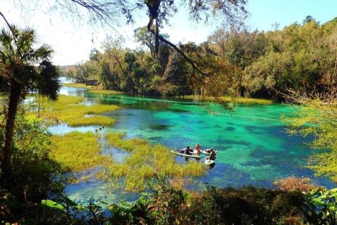Land in Dunnellon, Florida № 1911227 - photo 3