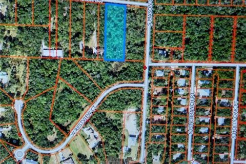 Terreno en venta en Homosassa, Florida № 2099403 - foto 2