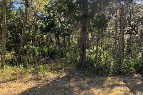 Terreno en venta en Homosassa, Florida № 2099403 - foto 5