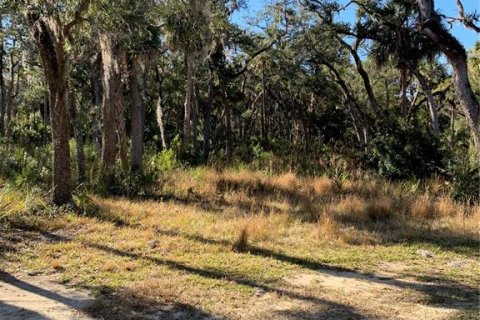 Terreno en venta en Homosassa, Florida № 2099403 - foto 4