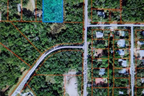 Terreno en venta en Homosassa, Florida № 2099403 - foto 3