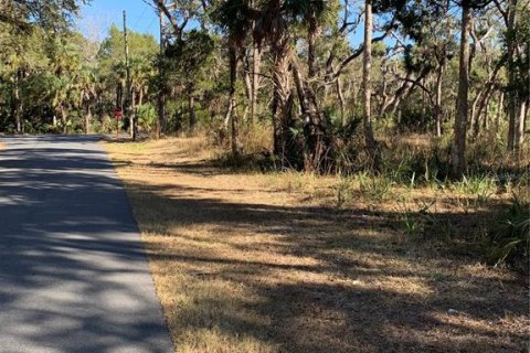 Terreno en venta en Homosassa, Florida № 2099403 - foto 7