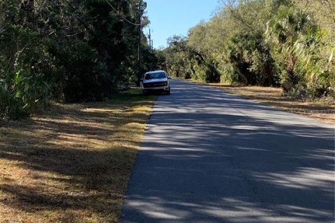 Terreno en venta en Homosassa, Florida № 2099403 - foto 8