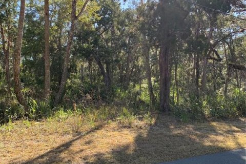 Terreno en venta en Homosassa, Florida № 2099403 - foto 6