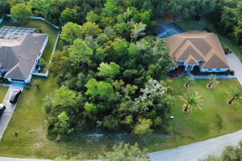 Terrain à Homosassa, Floride № 2111283