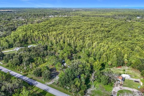 Terreno en venta en Hudson, Florida № 1880939 - foto 15