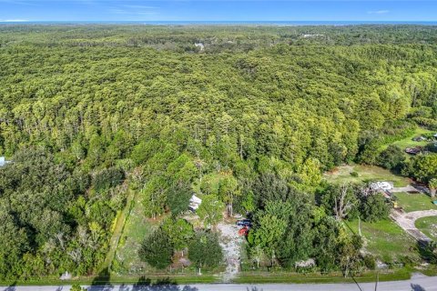Terreno en venta en Hudson, Florida № 1880939 - foto 19