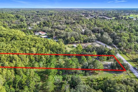 Terreno en venta en Hudson, Florida № 1880939 - foto 3