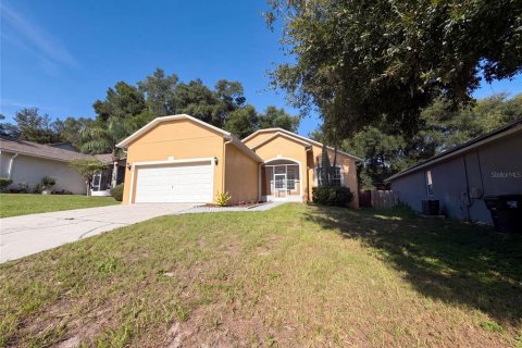 Casa en Apopka, Florida 3 dormitorios, 123.75 m2 № 2378051