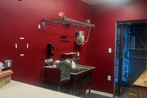 Immobilier commercial à louer à Mount Dora, Floride: 412.49 m2 № 2166394 - photo 3