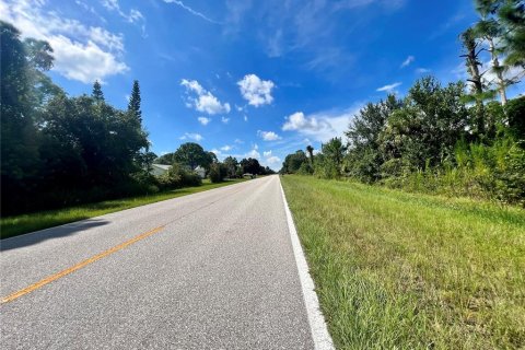 Land in Port Charlotte, Florida № 2159978 - photo 3