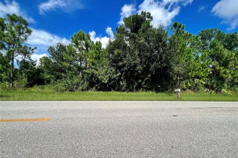 Land in Port Charlotte, Florida № 2159978