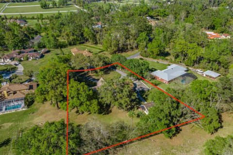 House in Ocala, Florida 5 bedrooms, 402.55 sq.m. № 1587501 - photo 7