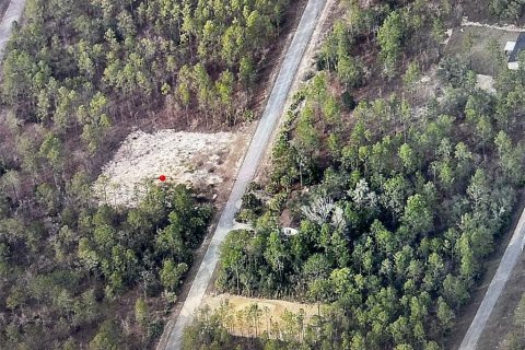 Land in Dunnellon, Florida № 2162740