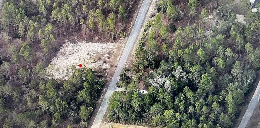 Land in Dunnellon, Florida № 2162740